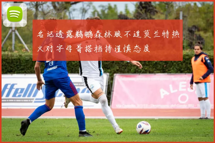 名记透露鹈鹕森林狼不追莫兰特热火对字母哥搭档持谨慎态度